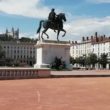 Nest In Heart Of Lyon