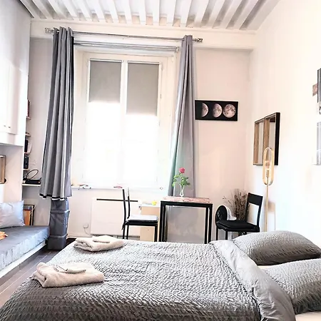 Apartment Nest In Heart Of Lyon