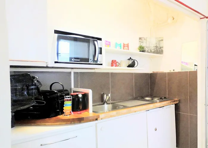 Charming Bellecour Quiet Ideal Situation Apartamento